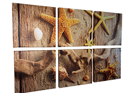 6pc-canvas-mounted