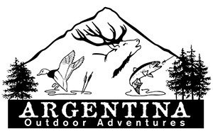 ArgentinaOut K
