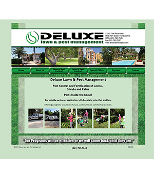 deluxe